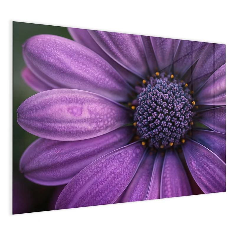 Magnettafel - Violette Samtblüte