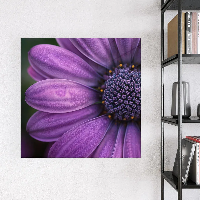 Magnettafel - Violette Samtblüte
