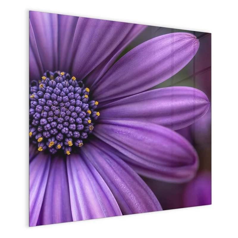 Magnettafel - Lila Kapkörbchen