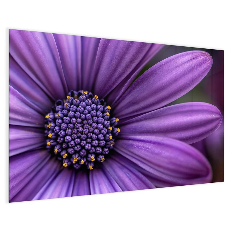 Magnettafel - Lila Kapkörbchen