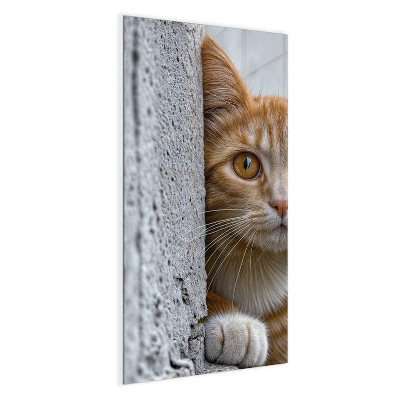 Magnettafel - Katze hinter der Mauer