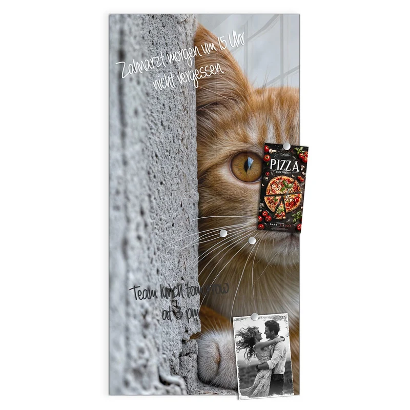 Magnettafel - Katze hinter der Mauer
