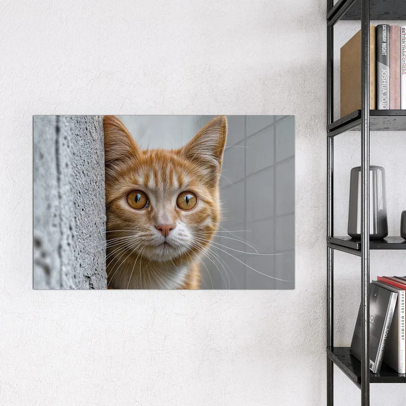 Magnettafel - Katze hinter der Mauer