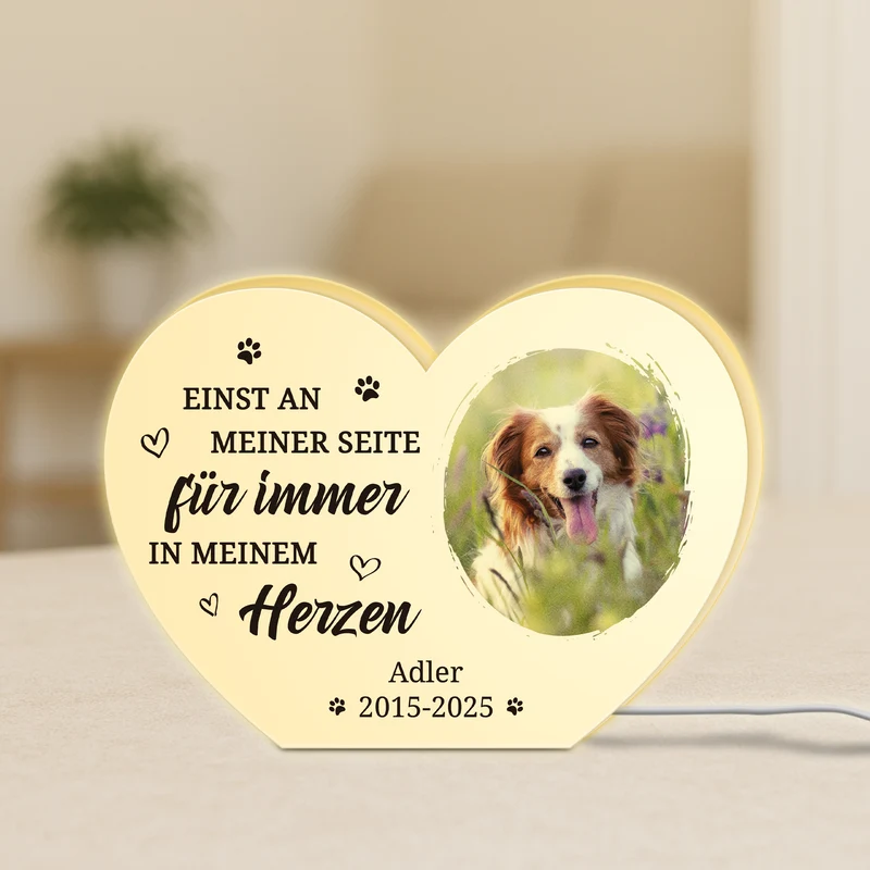 Für Immer In Meinem Herzen - Personalisiertes Erinnerungen Geschenk | Lightbox Hund mit Foto