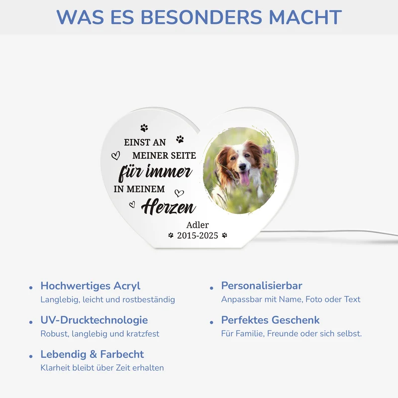 Für Immer In Meinem Herzen - Personalisiertes Erinnerungen Geschenk | Lightbox Hund mit Foto