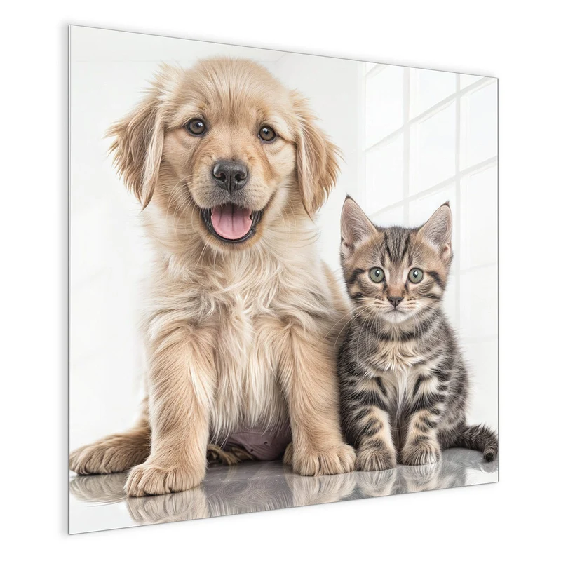 Magnettafel - Retriever und Kätzchen