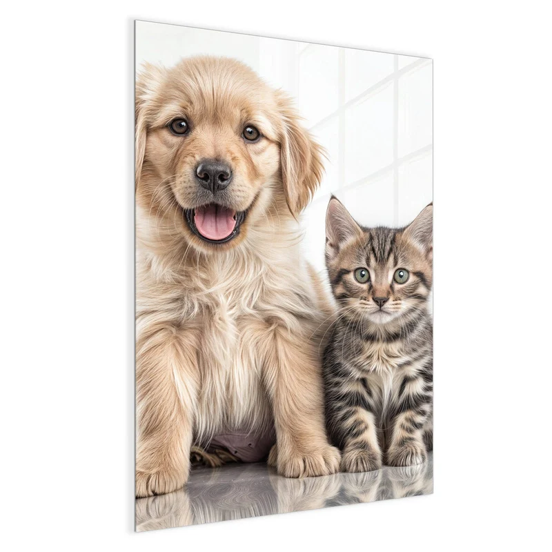Magnettafel - Retriever und Kätzchen