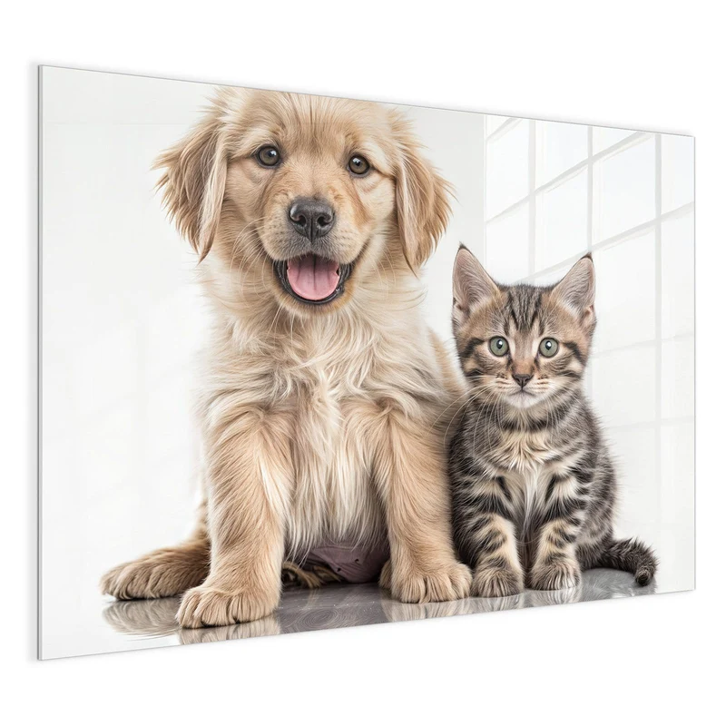 Magnettafel - Retriever und Kätzchen