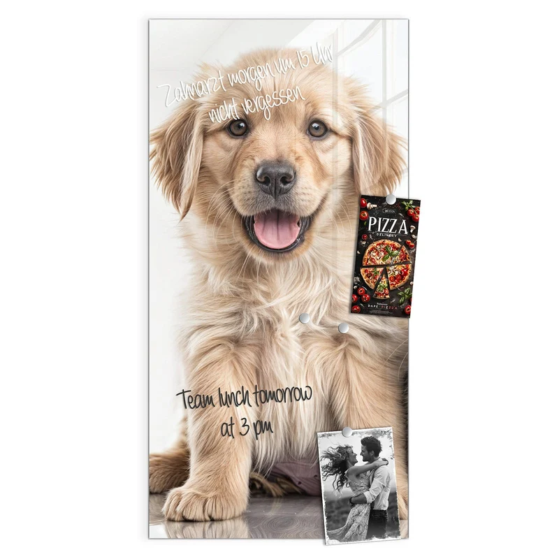 Magnettafel - Retriever und Kätzchen