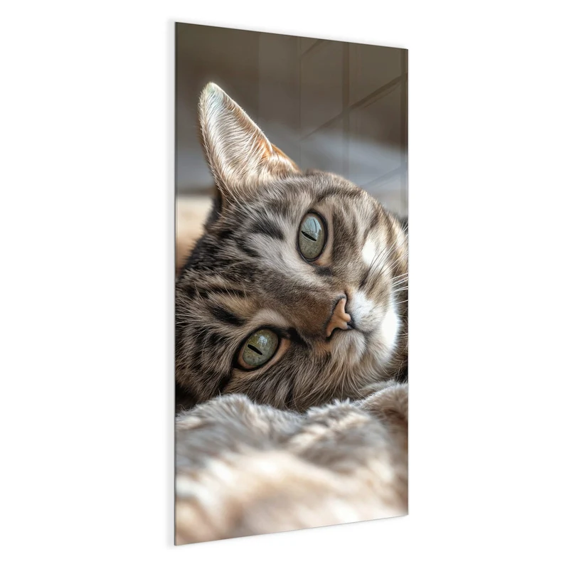 Magnettafel - Gemütliche Katze