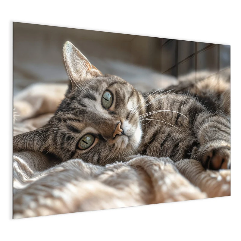 Magnettafel - Gemütliche Katze