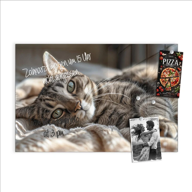 Magnettafel - Gemütliche Katze