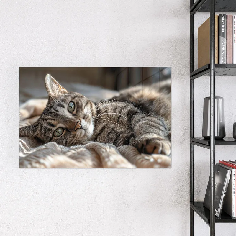 Magnettafel - Gemütliche Katze