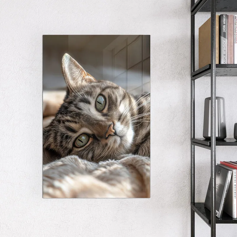 Magnettafel - Gemütliche Katze
