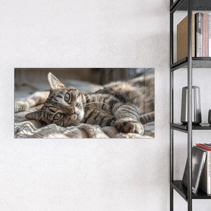 Magnettafel - Gemütliche Katze