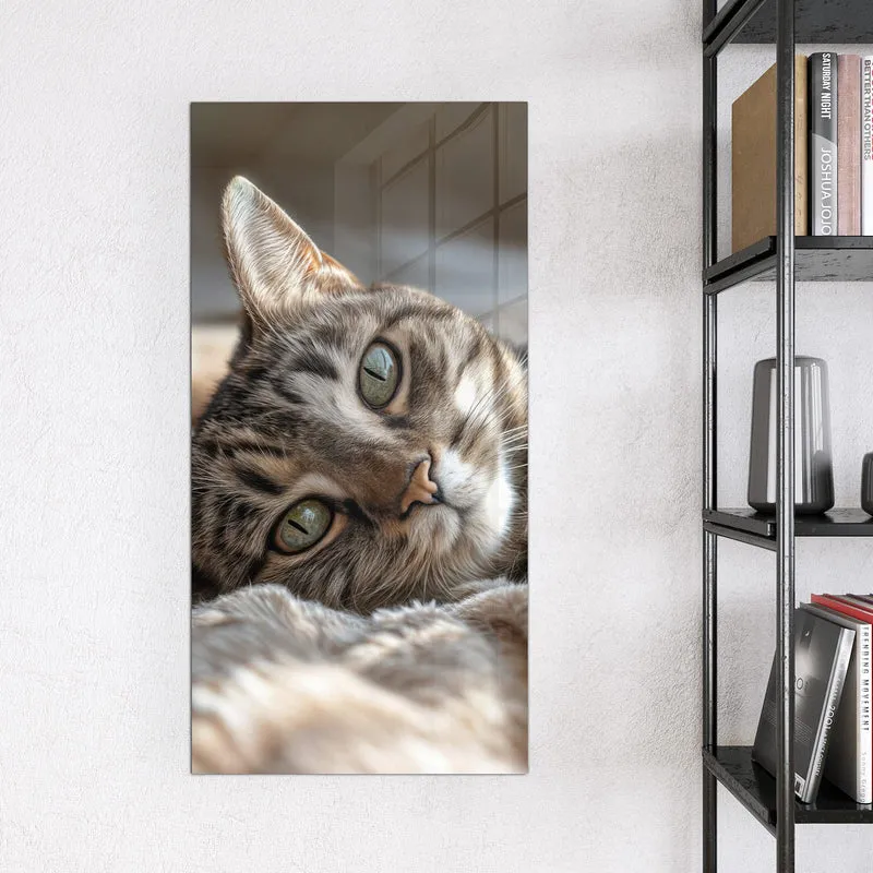 Magnettafel - Gemütliche Katze
