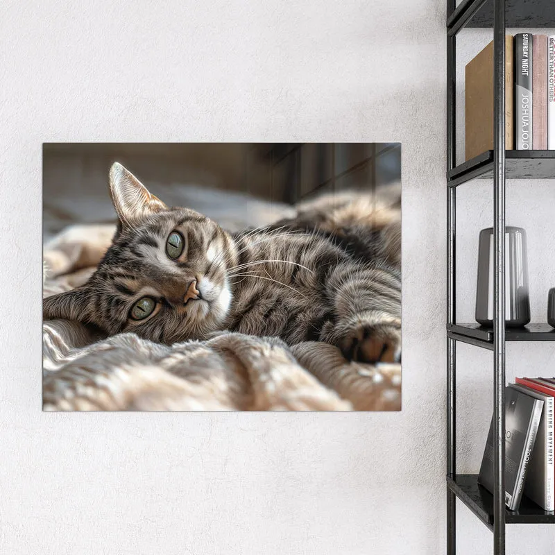 Magnettafel - Gemütliche Katze