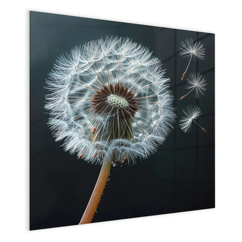 Magnettafel - Fliegende Pusteblume