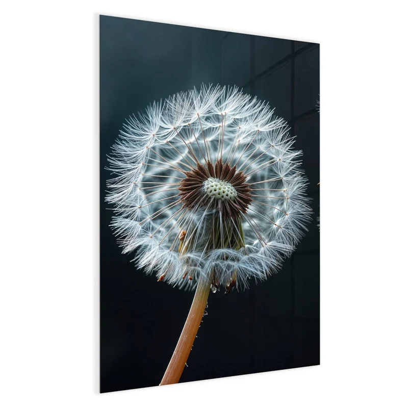 Magnettafel - Fliegende Pusteblume