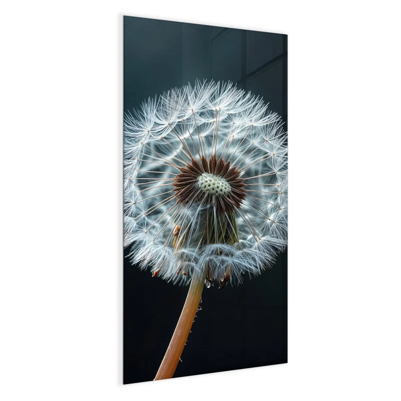 Magnettafel - Fliegende Pusteblume