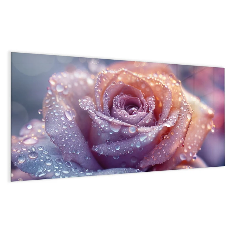 Magnettafel - Lila Rose im Tau