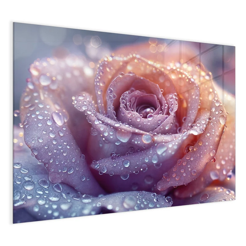 Magnettafel - Lila Rose im Tau
