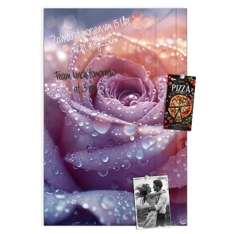 Magnettafel - Lila Rose im Tau