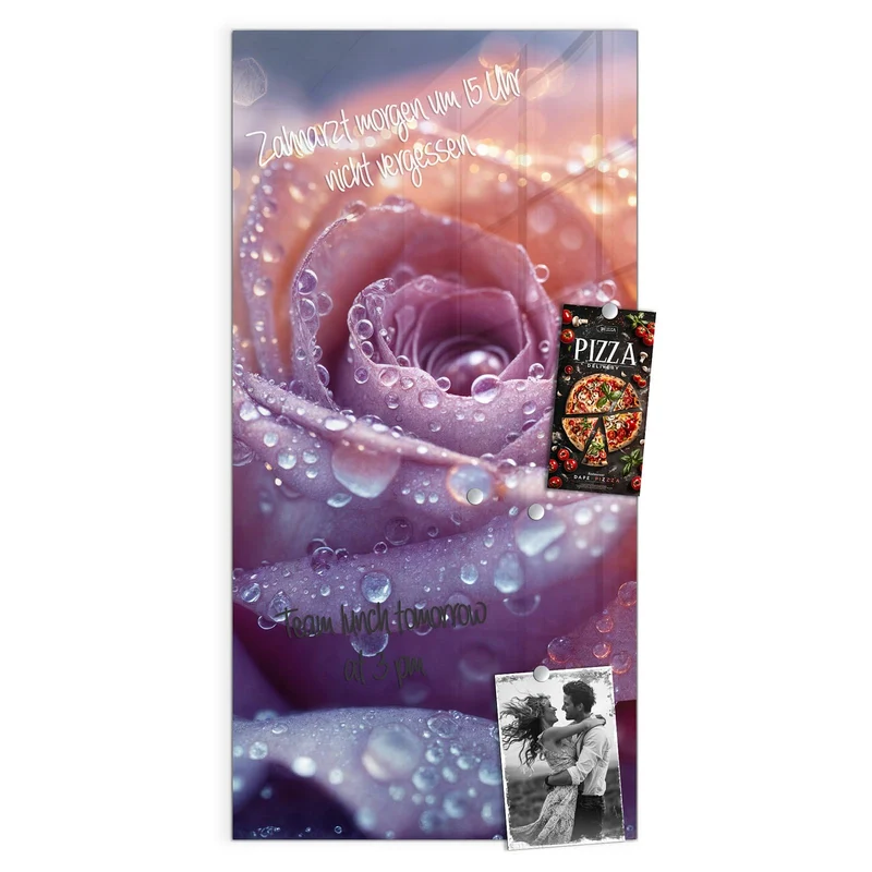 Magnettafel - Lila Rose im Tau