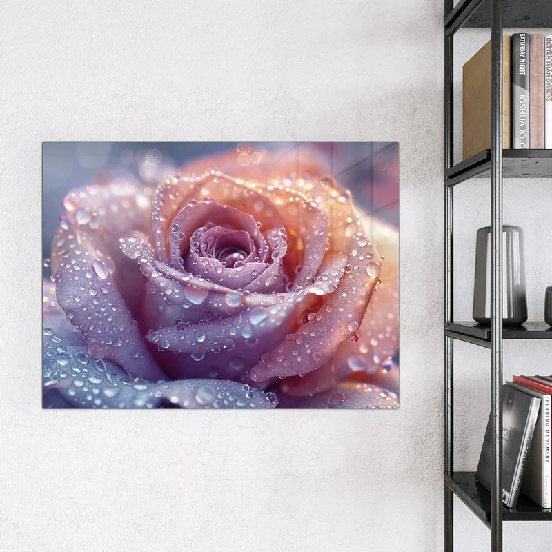 Magnettafel - Lila Rose im Tau