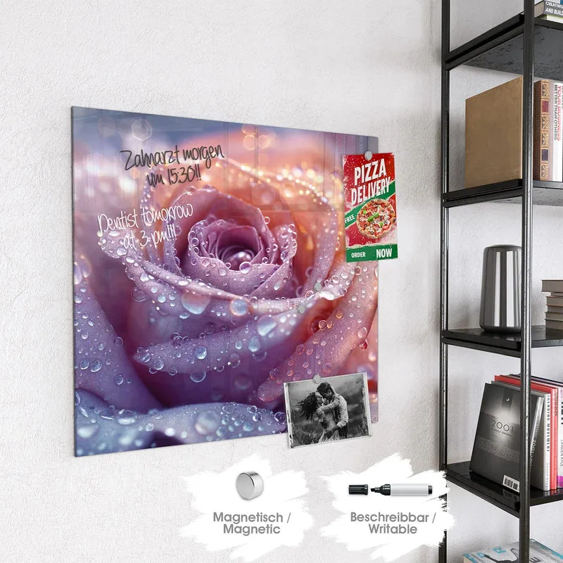 Magnettafel - Lila Rose im Tau