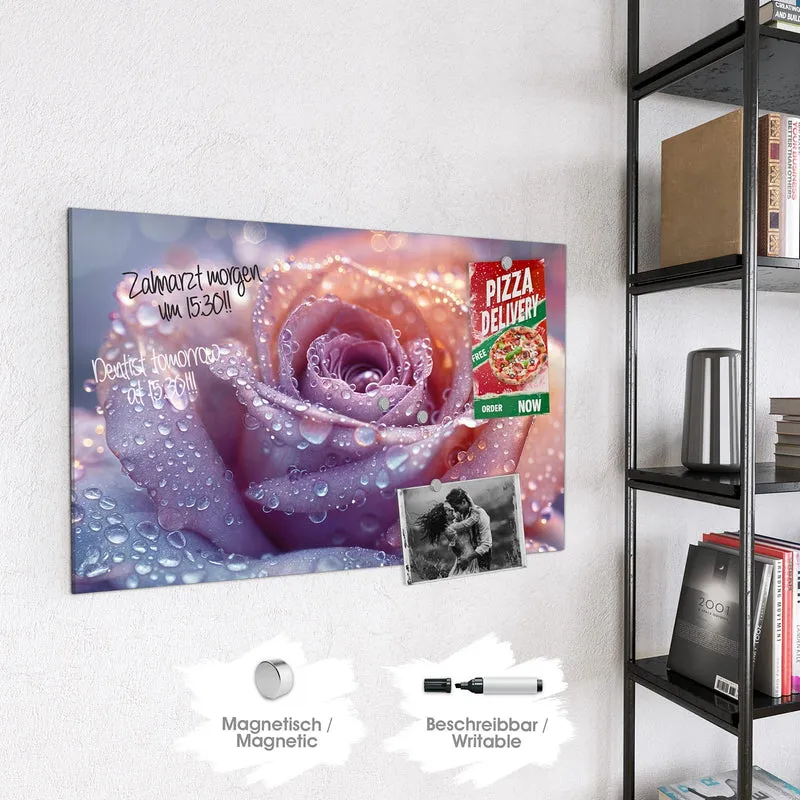 Magnettafel - Lila Rose im Tau