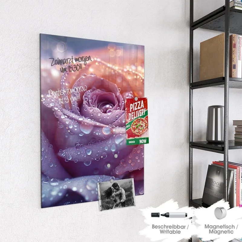 Magnettafel - Lila Rose im Tau