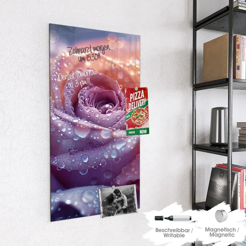 Magnettafel - Lila Rose im Tau