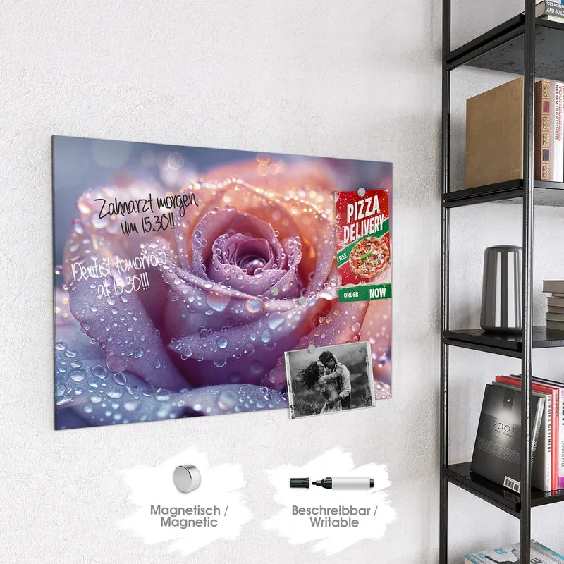 Magnettafel - Lila Rose im Tau